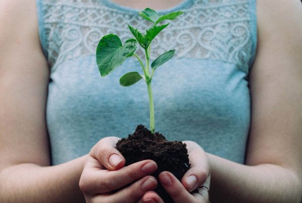 A woman holding a plant
